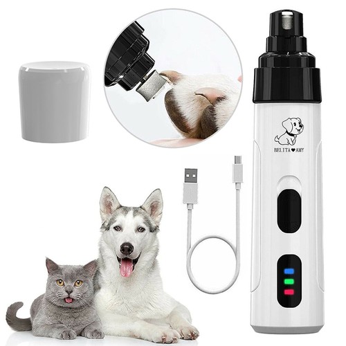 Electric nail file - file, dog